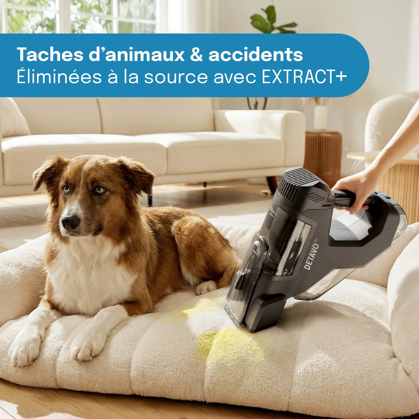 DETAVO™ Stain Remover EXTRACT+